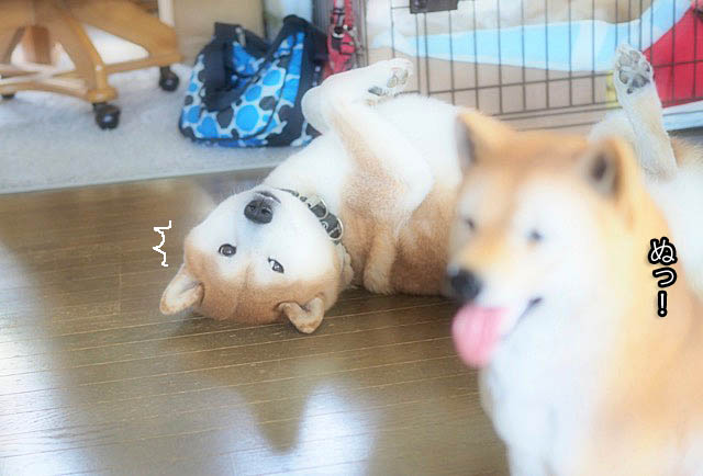 4日ブログ4