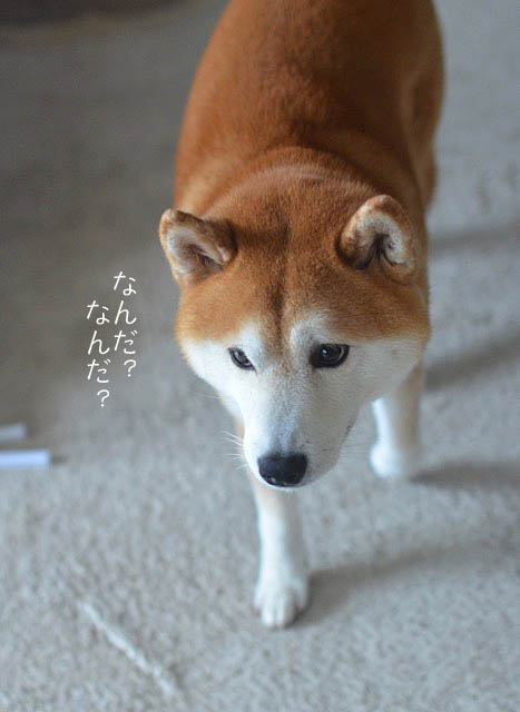 9日ブログ6
