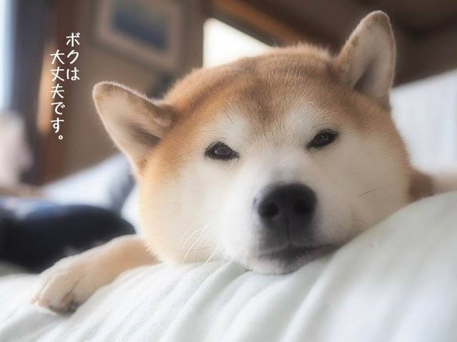 16日ブログ2
