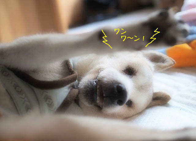 22日ブログ3
