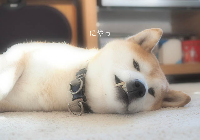 10日のブログ2