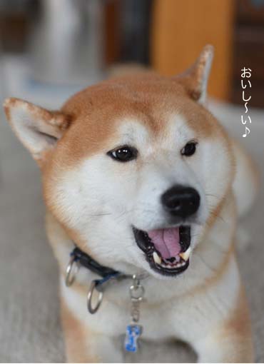 25日ブログ5.jpg