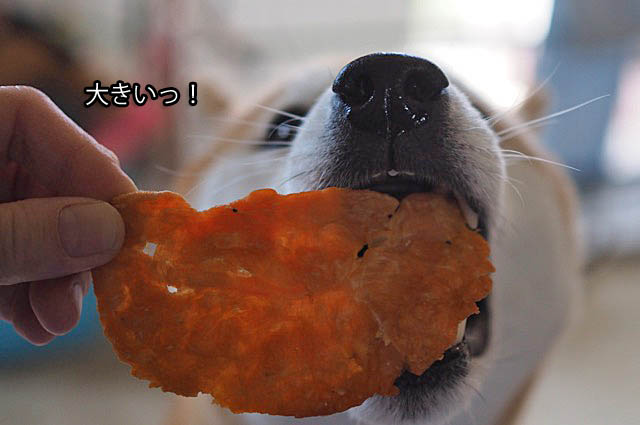 16日ブログ7