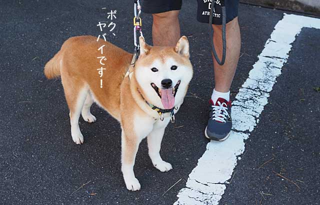 4日ブログ6