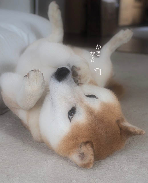 7日ブログ4