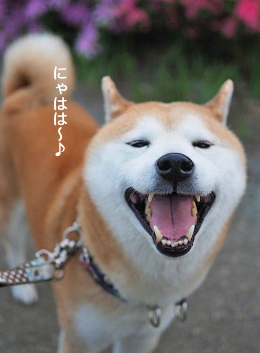 4日朝ブログ３