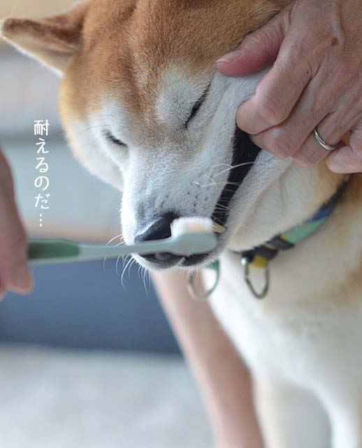 10日ブログ5