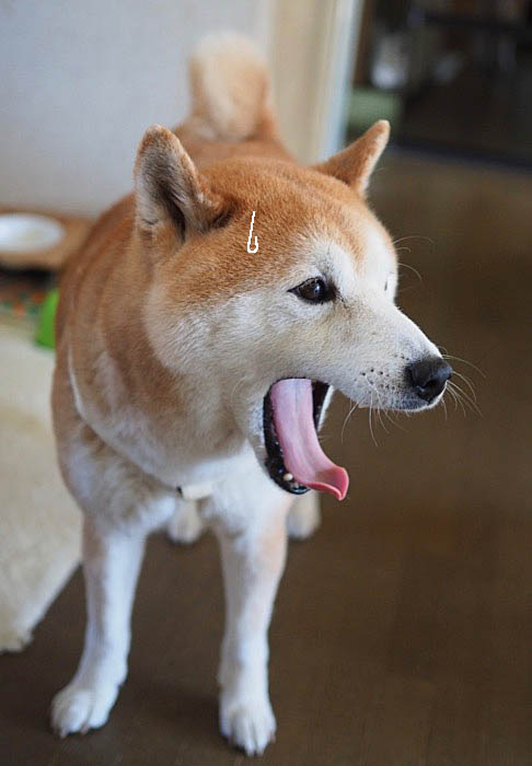 11日ブログ４