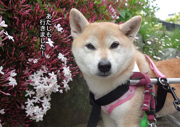 26日ブログ１２