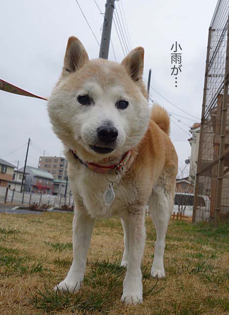 15日ブログ6