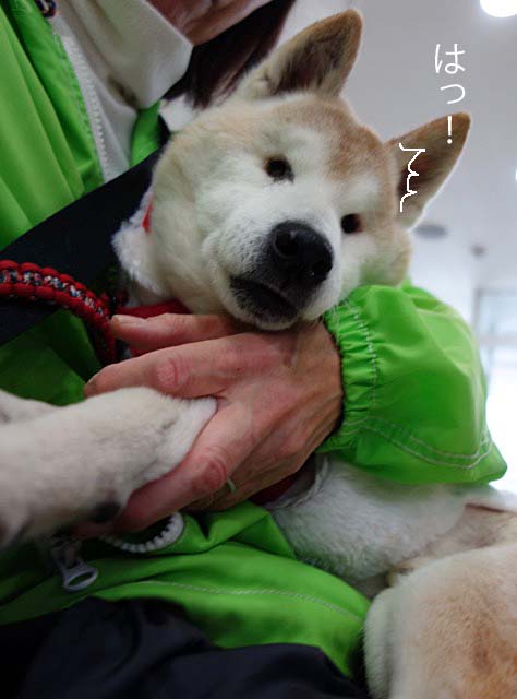 18日ブログ2