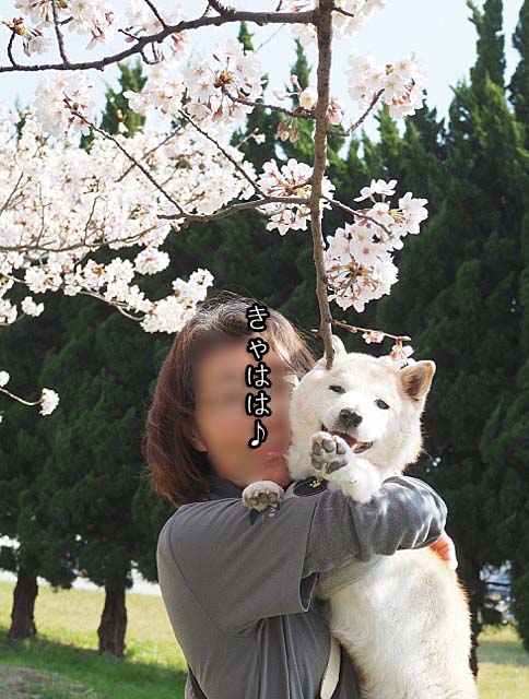 6日ブログ7