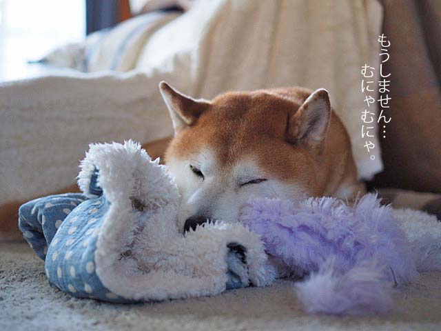 13日ブログ5