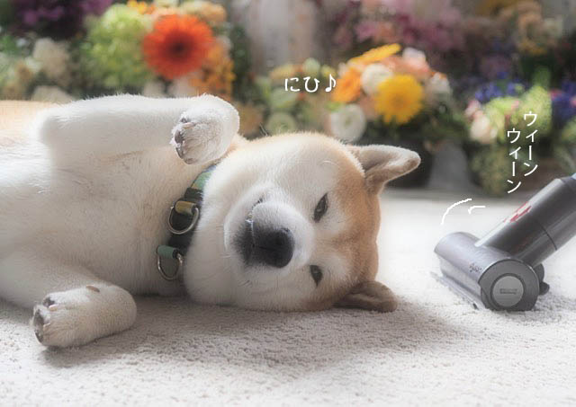 14日ブログ6