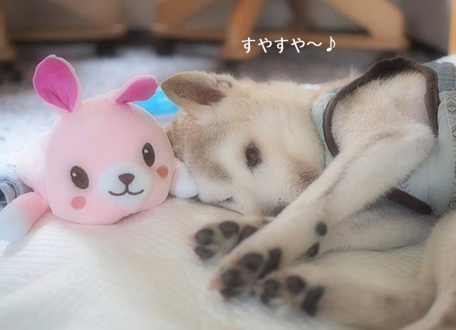 9日ブログ2