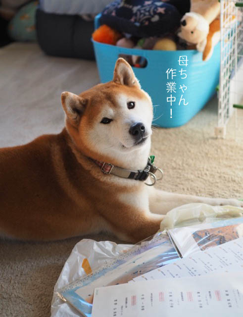 22日夜ブログ3