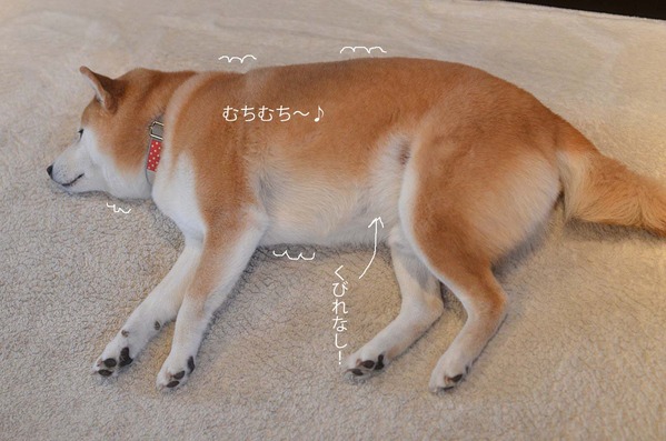 8日ブログ4