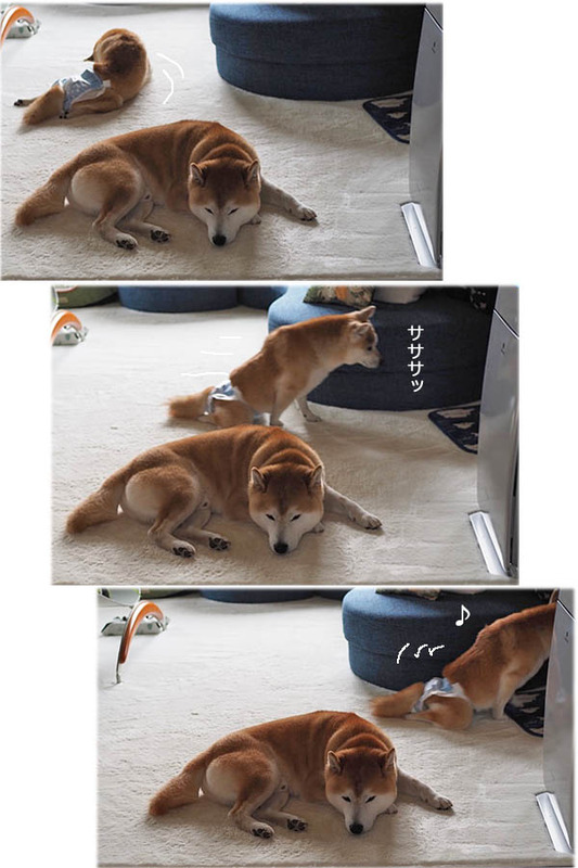 20日ブログ３