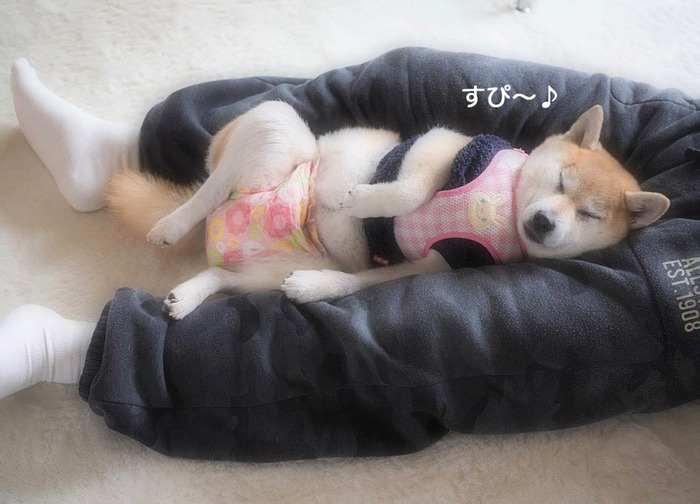 5日夜ブログ4