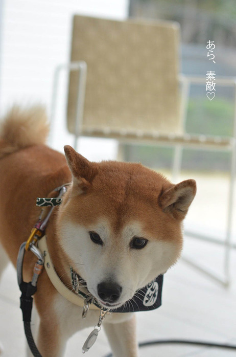 8日ブログ7