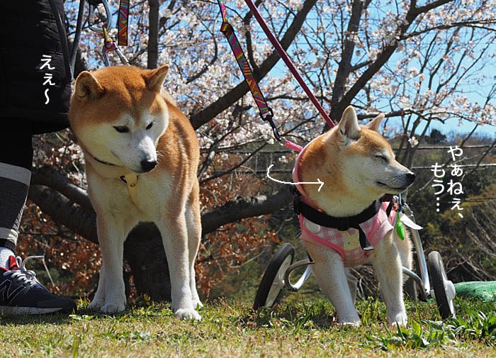 4日午後ブログ５