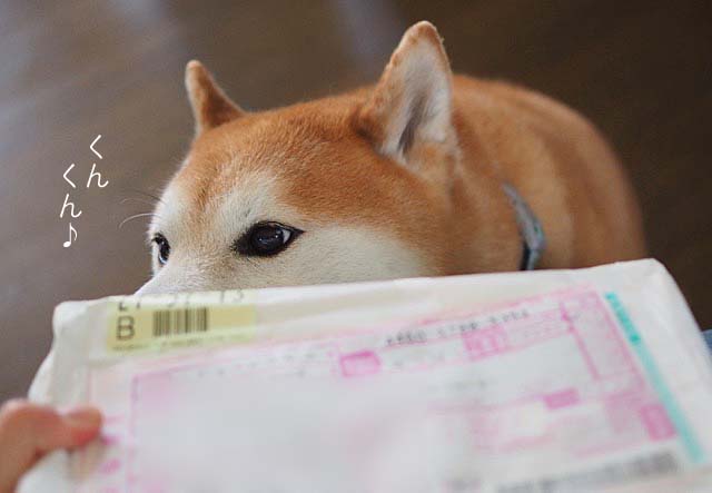 16日ブログ2