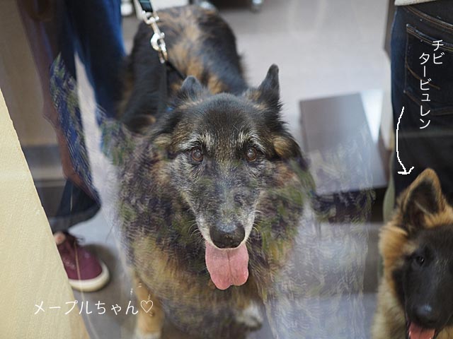 1日ブログ5