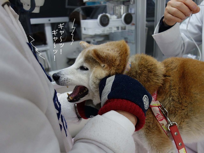 16日ブログ4