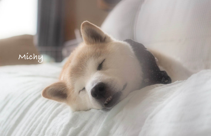 9日ブログ6