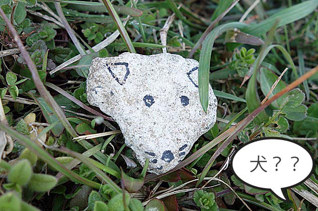 10日ブログ3