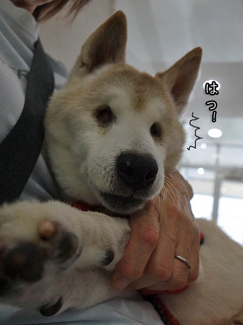 22日ブログ3