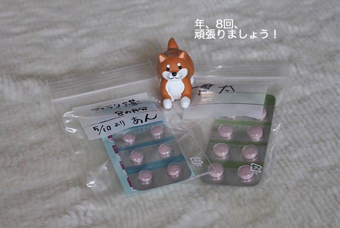 11日ブログ２