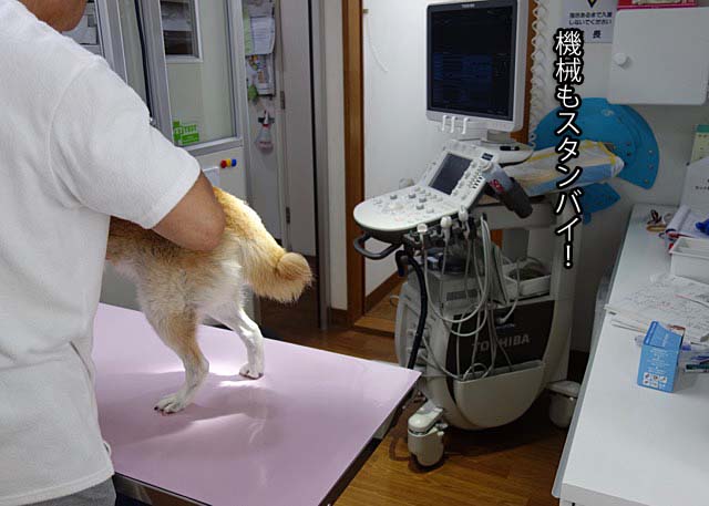 9日ブログ3