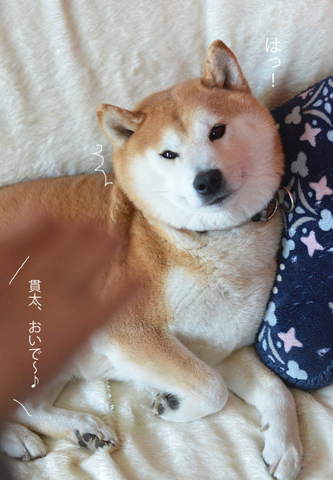 18日ブログ2