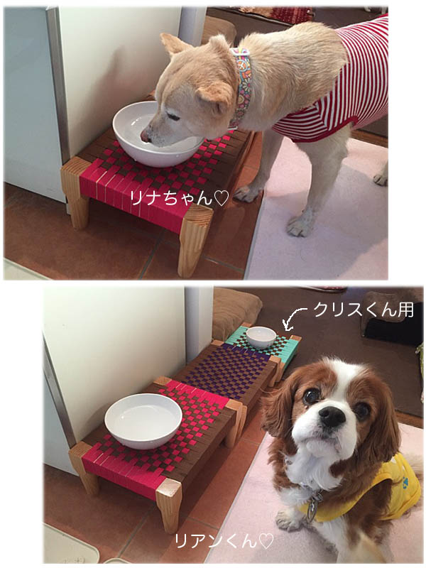 13日ブログ7