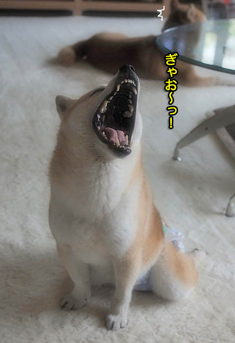 6日ブログ3