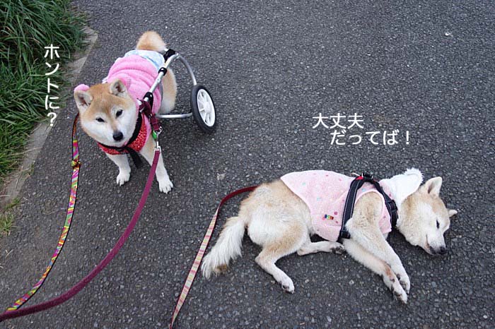 1日午後ブログ７