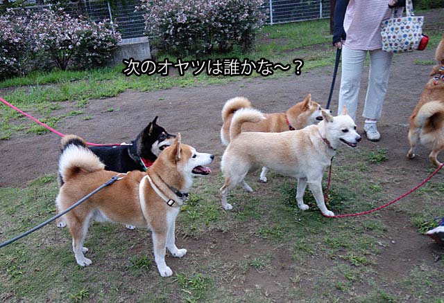 26日ブログ5