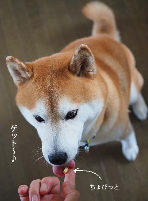 27日ブログ8