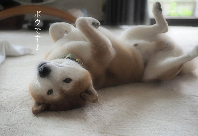 14日ブログ2