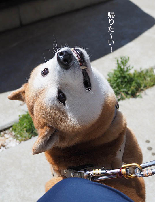 8日ブログ６