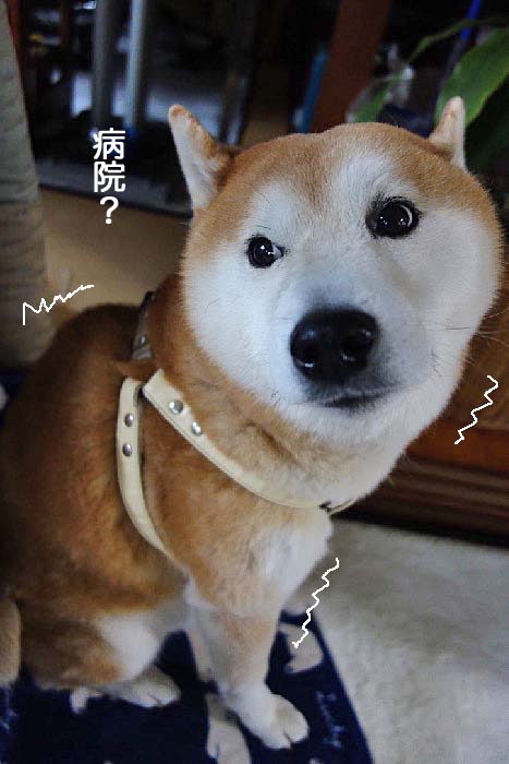 7日ブログ2