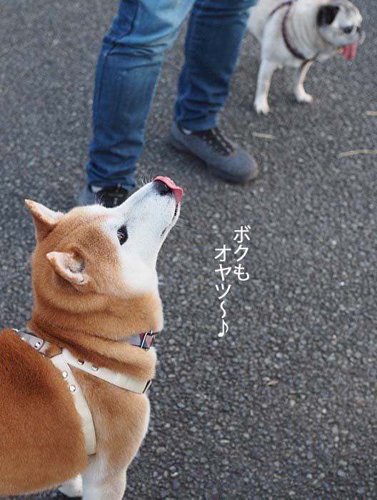 4日ブログ６