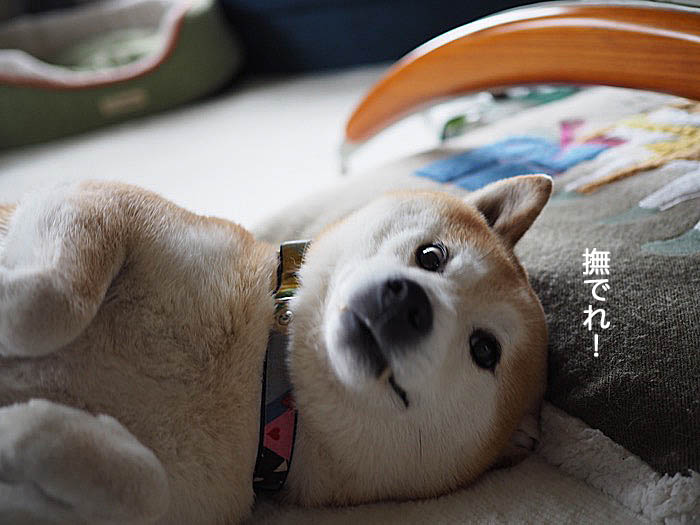 2日午後ブログ５