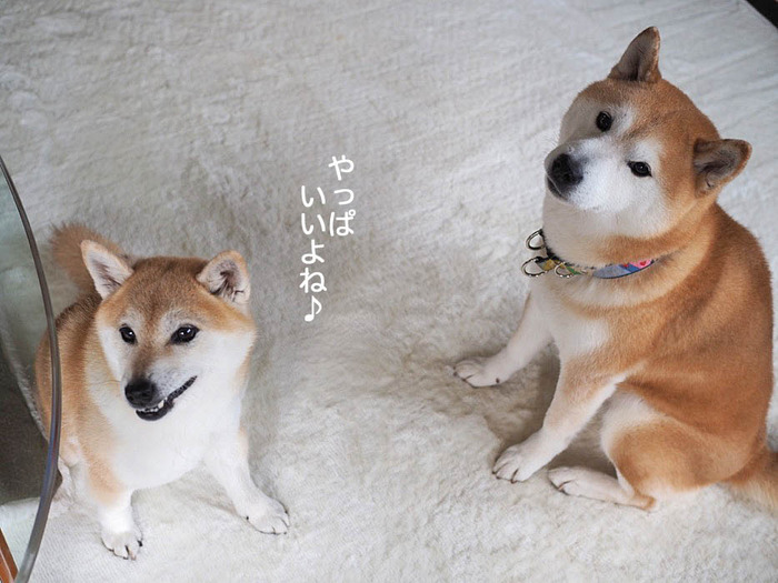 28日夜ブログ３
