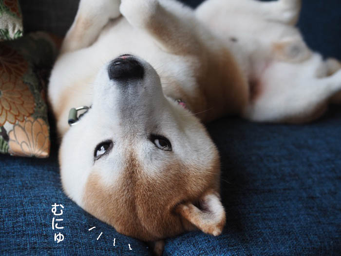 10日ブログ７