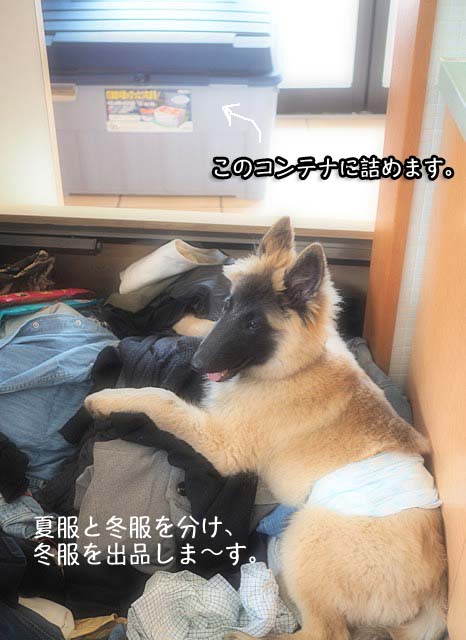 17日ブログ3