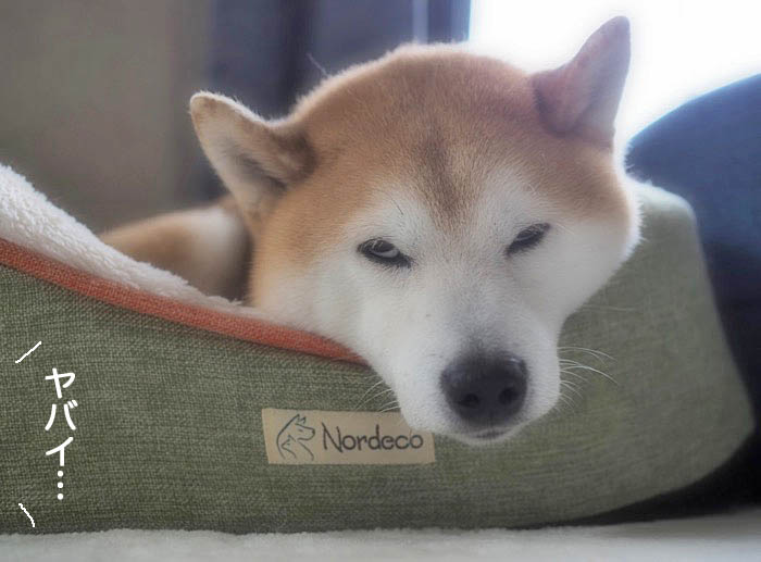 2日午後ブログ６