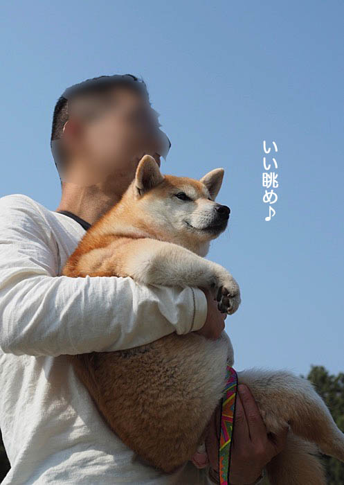 8日ブログ６