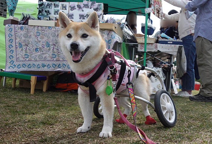 14日ブログ８